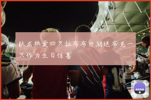 狄龙热爱四只拉布布计划送布克一只作为生日惊喜